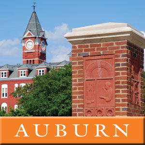 Special Education, Rehabilitation & Counseling - Leadership #2-4 Special Education, Rehabilitation & Counseling - Leadership #2-4
